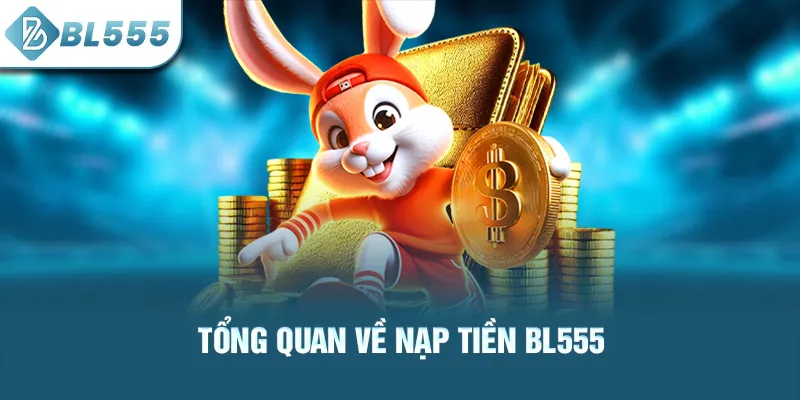 tong-quan-ve-nap-tien-bl555_4