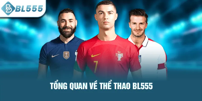 tong-quan-ve-the-thao-bl555_5